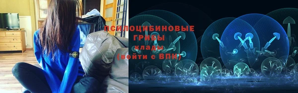 метамфетамин Алексеевка