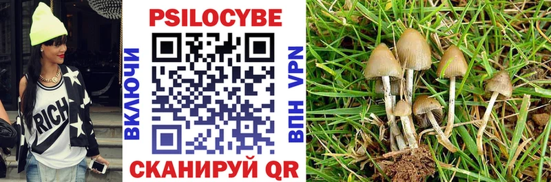 Псилоцибиновые грибы Cubensis  цена наркотик  shop Telegram  Нефтекамск 